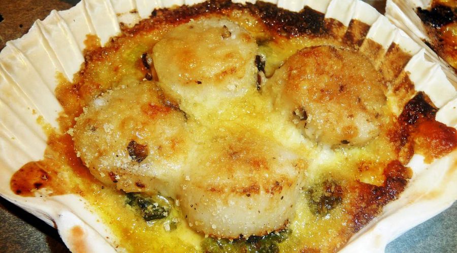 Coquilles St Jacques gratinées