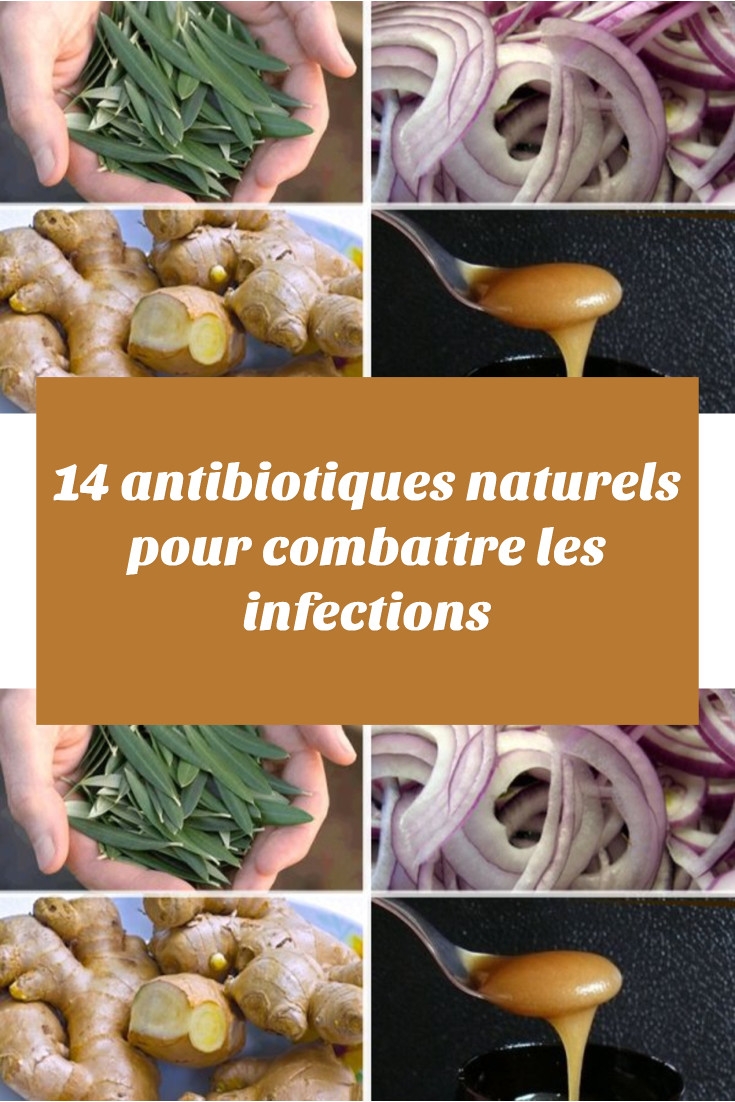 14 antibiotiques naturels pour combattre les infections