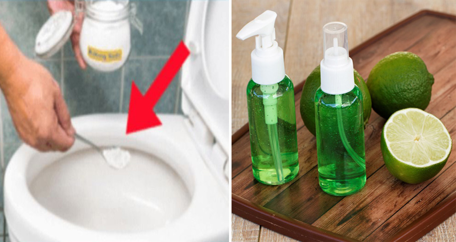 Voici comment fabriquer naturellement votre propre désodorisant toilette