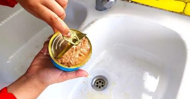 Voici pourquoi il est important de ne plus jeter l’huile des boites de thon dans l’évier