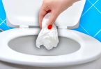Où faut-il jeter le papier hygiénique : dans la cuvette des toilettes ou dans la poubelle ?