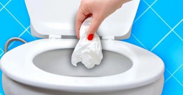 Où faut-il jeter le papier hygiénique : dans la cuvette des toilettes ou dans la poubelle ?