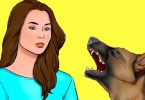 Que faire lorsqu’un chien vous attaque ? 6 astuces simples pour vous en sortir facilement