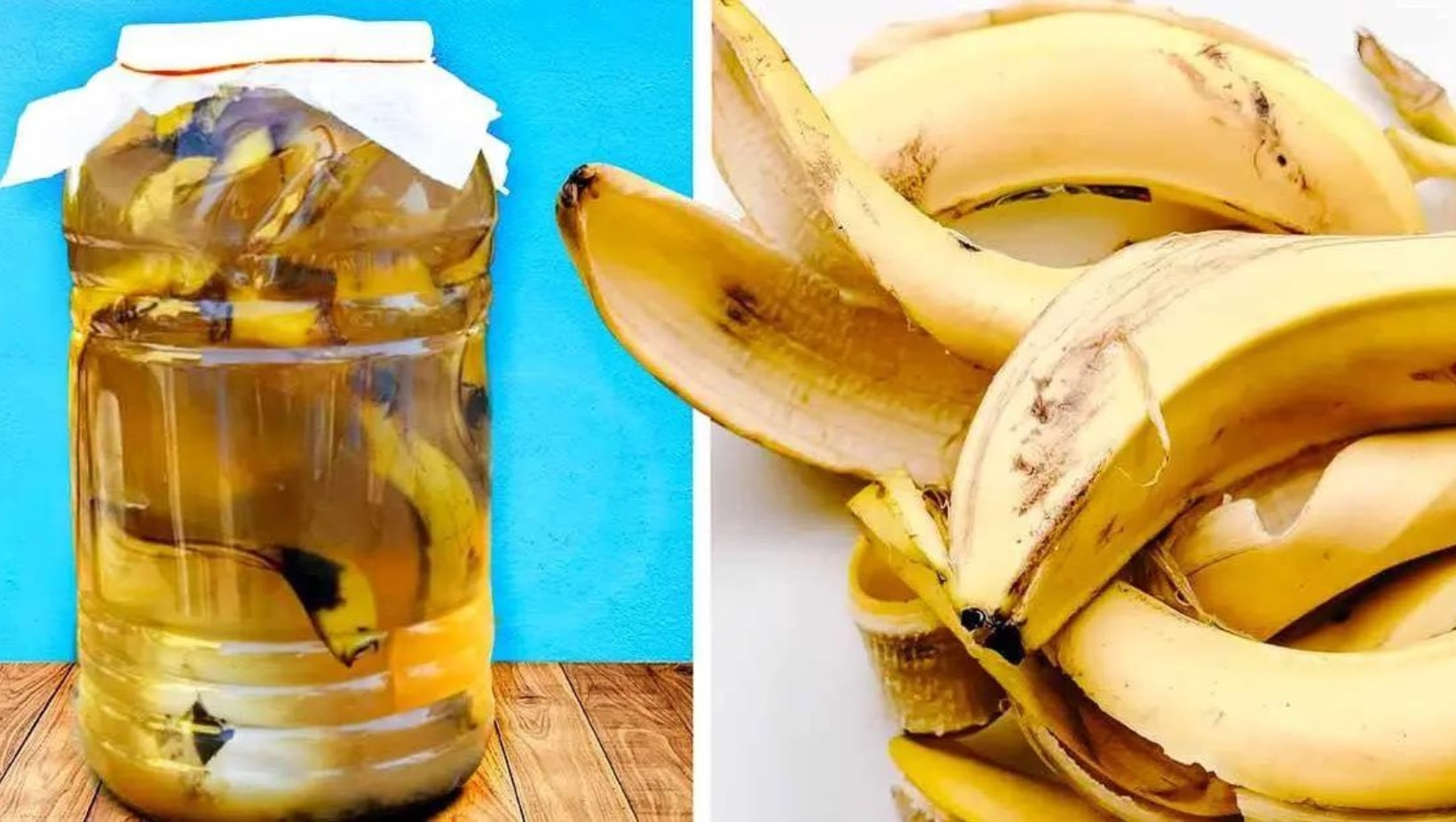 4 Idées pour Réutiliser les Peaux de Banane au Jardin !!!